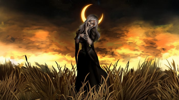 Witch Of The Withering Field
