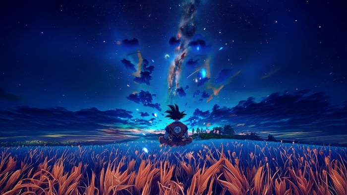 Goku sitting in a field under a starry sky