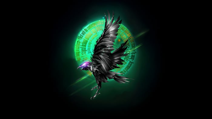 Raven Code Of The Shadows
