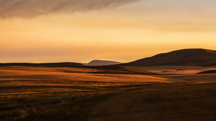 Golden Grassland Sunset Panorama