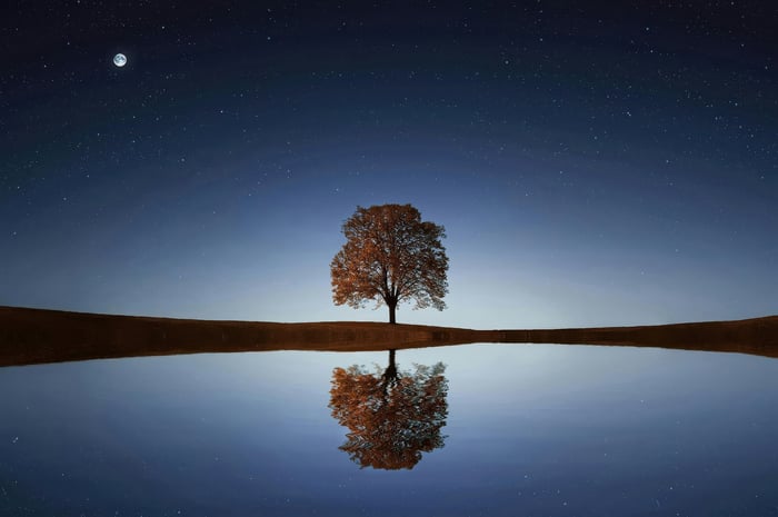 Lone tree reflected on a still lake under starry sky