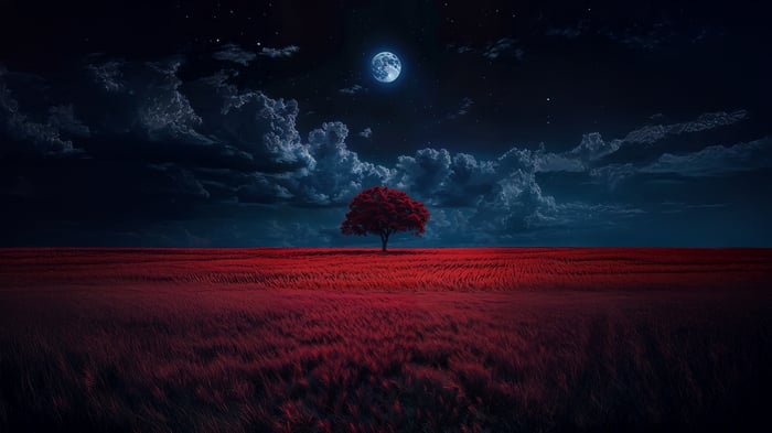 Ruby Meadows under a full moon