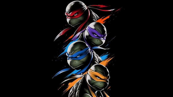 Teenage Mutant Ninja Turtles Brothers In Battle