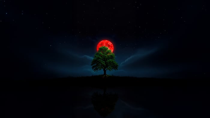 Tree under a red moon at night