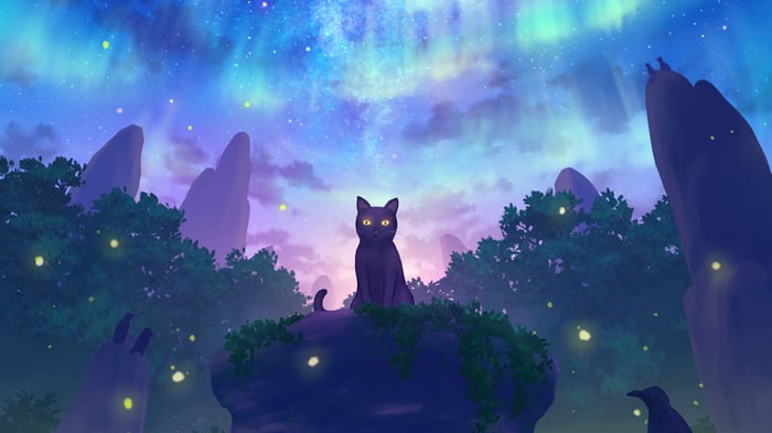 Black cat sitting on a rock under the aurora