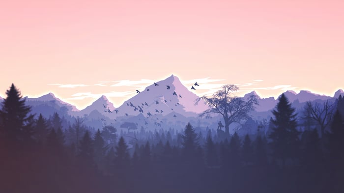 Birds flying over mountains and evergreen forests