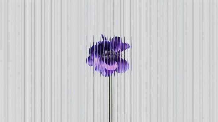 Purple flower with vertical lines
