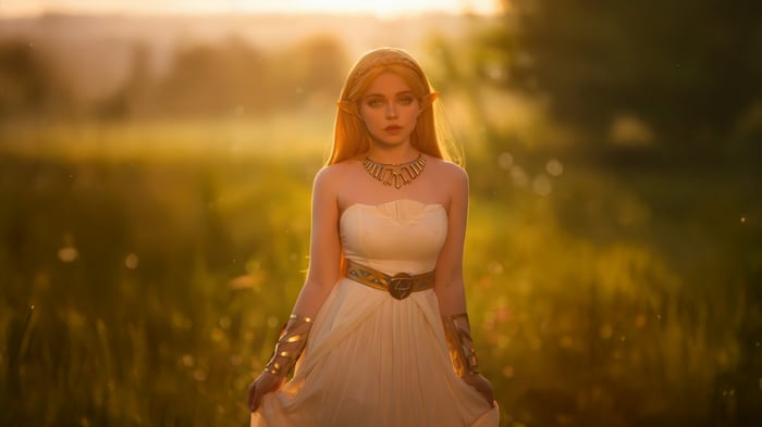 The Legend of Zelda Cosplay in a Field