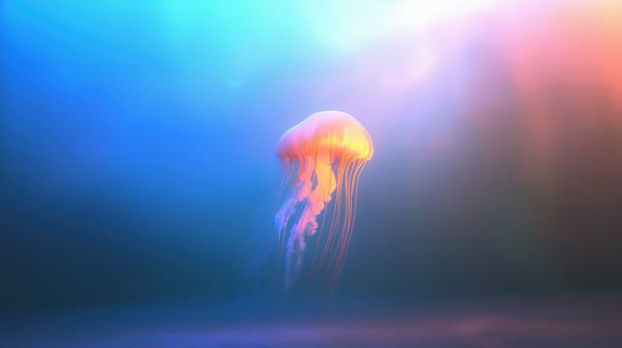 A bioluminescent jellyfish floats in the ocean