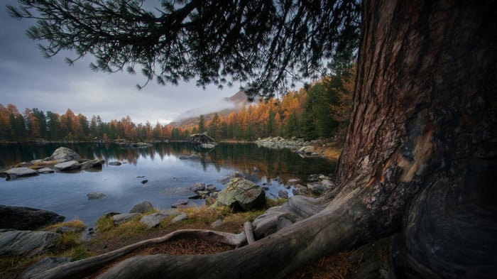 Autumn Scenery Of A Swiss Mountain Lake