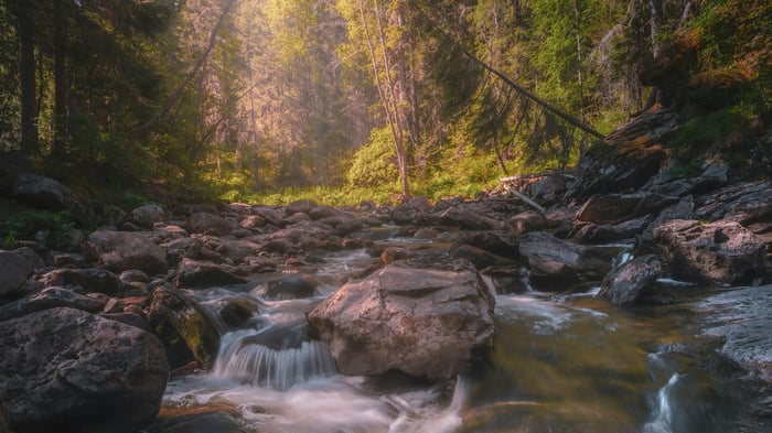 Sunlit Forest Stream with Rocks