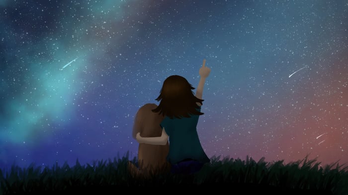 Girl and dog watching shooting stars