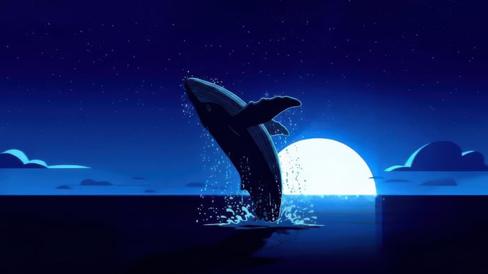 Whale jumping out of the ocean at night