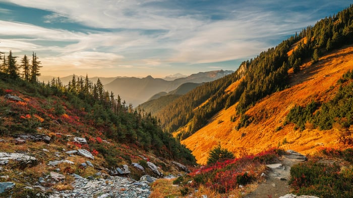 Mount Baker National Forest in Autumn