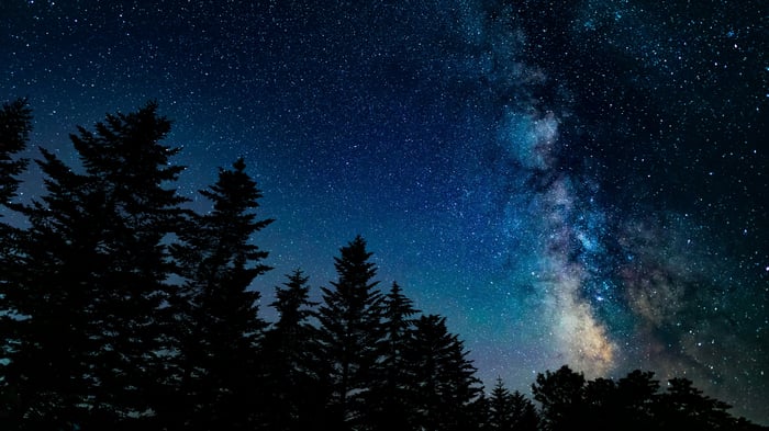 Milky Way Galaxy seen through silhouetted pine trees