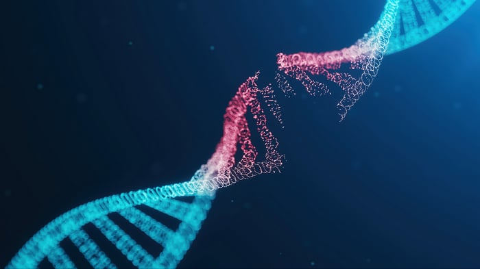 DNA strand breaking apart in 4K