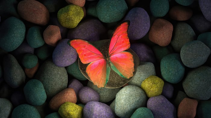 Red Butterfly on Colorful Stones 4K