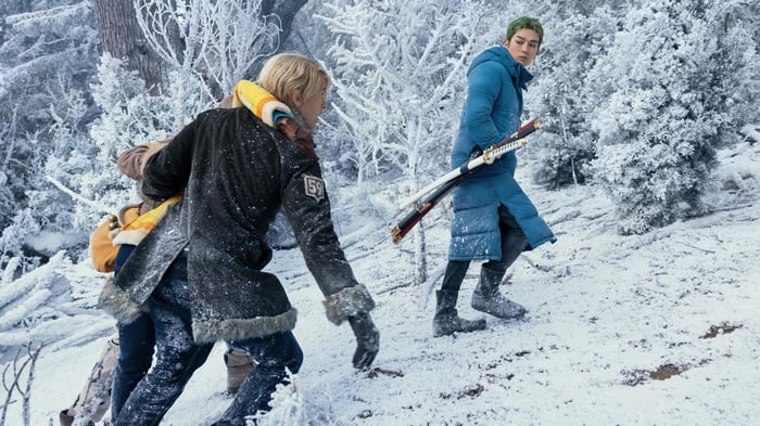 Roronoa Zoro and companions in a snowy forest
