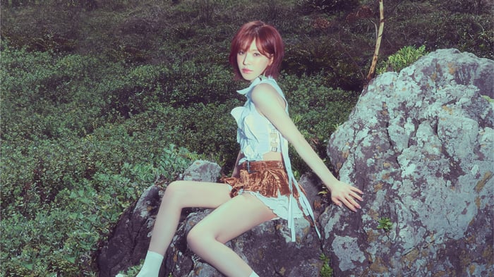 Wendy from Red Velvet sits on rocks in nature