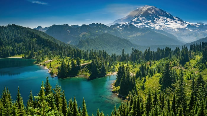 Mount Rainier National Park 4K