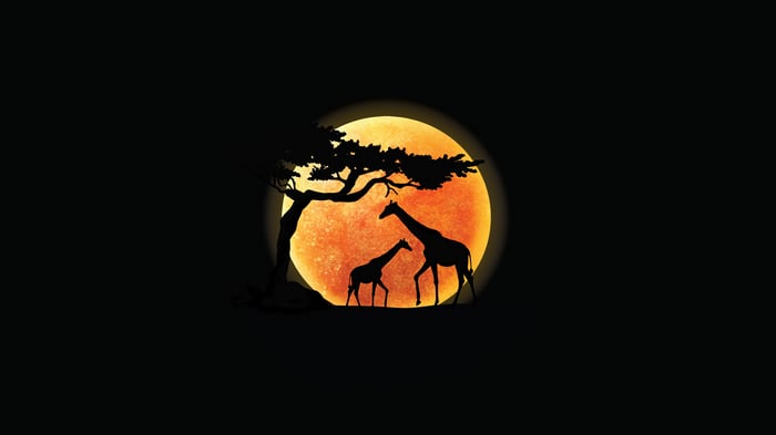 Two Giraffes Silhouetted Against a Full Moon