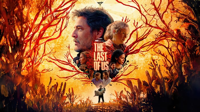 The Last of Us Series 4K