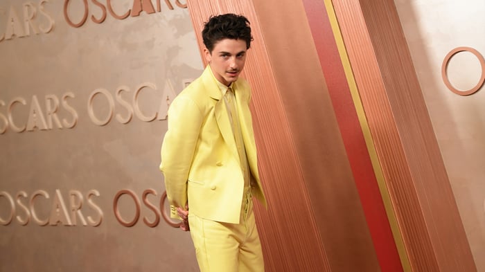Timothee Chalamet at the Oscars