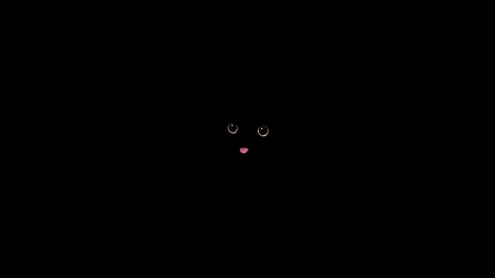 Cat with big eyes and tongue out