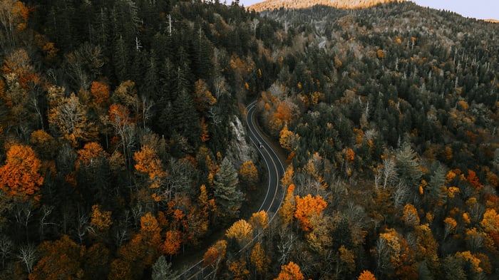 Aerial view of a winding road through an autumn forest