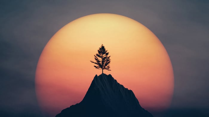 Silhouette of a tree on a mountain peak at sunset 4K