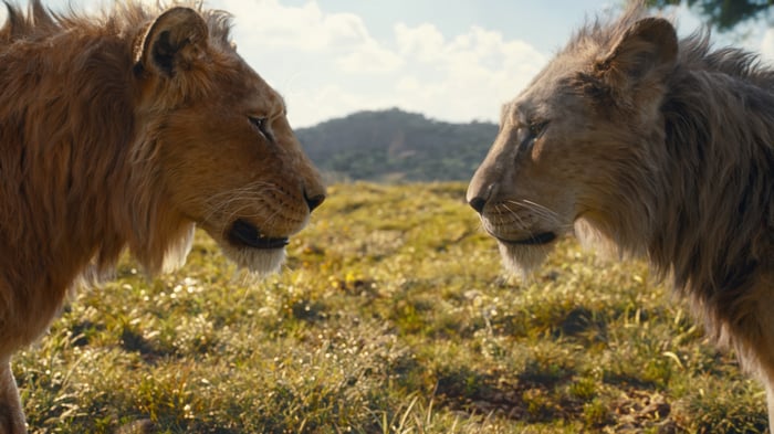 Two lions face each other in a savanna landscape