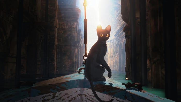 Cat in a flooded ancient city