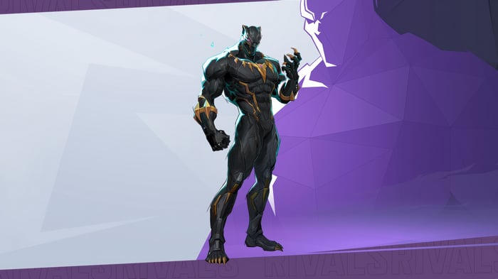 Black Panther in Marvel Rivals 4K