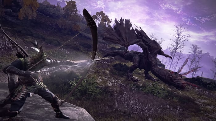 Elden Ring Archer Fights Dragon