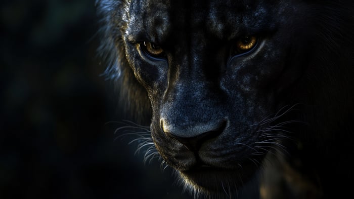 Black Lion Close-up 4K
