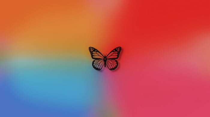 Butterfly on a colorful gradient background 4K
