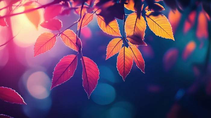 Autumn Leaves with Bokeh Effect 4K