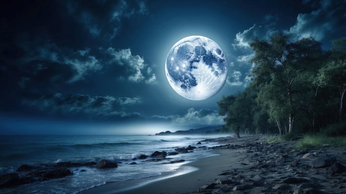 Full Moon Over a Rocky Beach at Night 4K