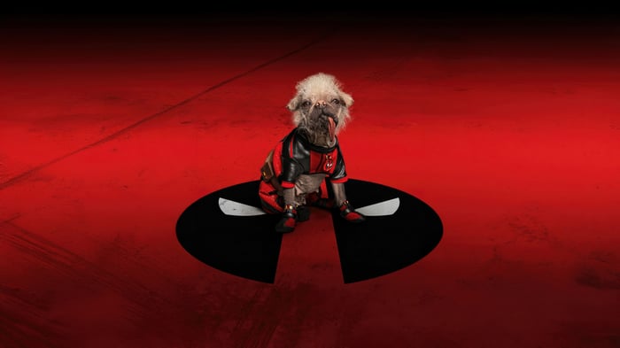 Dogpool in Deadpool Costume 4K