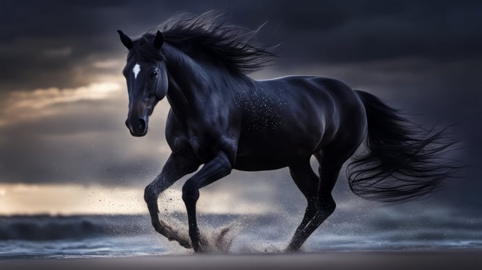 Black horse running on a beach 4K