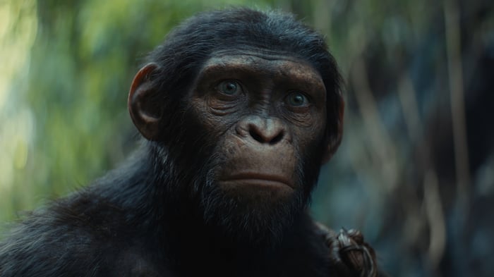 Noa from Kingdom of the Planet of the Apes 4K