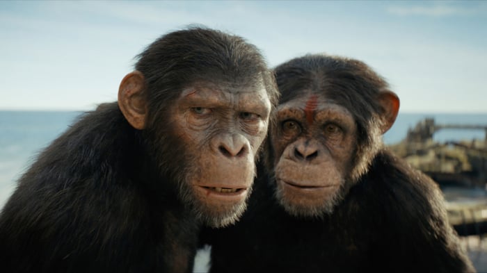 Kingdom of the Planet of the Apes 4K