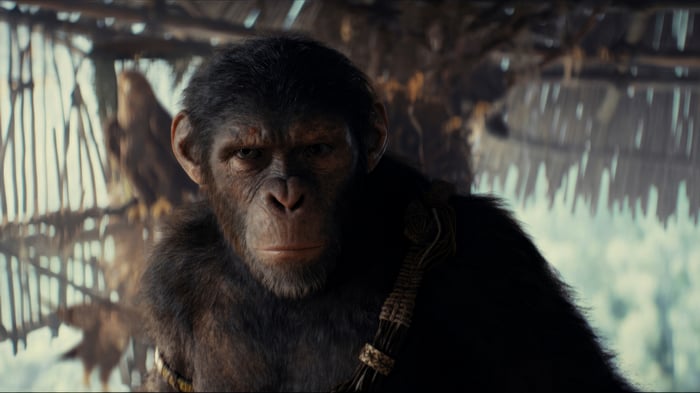 Kingdom of the Planet of the Apes 4K