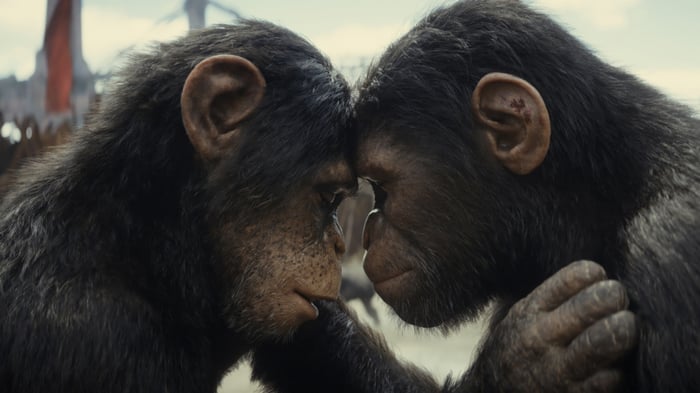 Kingdom of the Planet of the Apes 4K