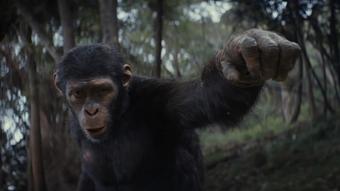 Noa from Kingdom of the Planet of the Apes 4K