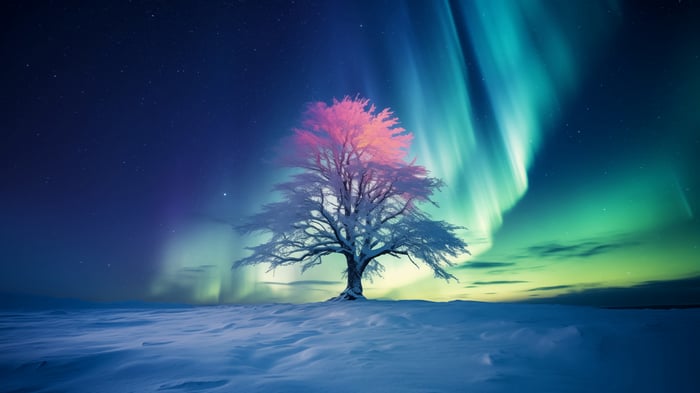 Tree under Northern Lights in 4K
