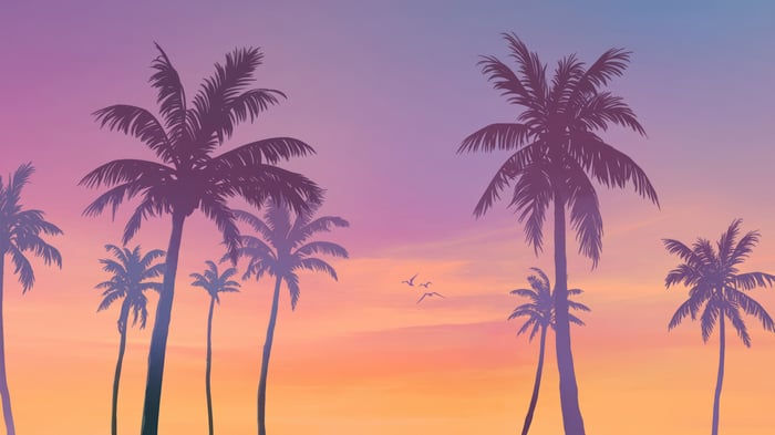 Grand Theft Auto 6 4K Palm Trees Sunset