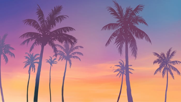 Grand Theft Auto 6 Palm Trees Sunset 4K