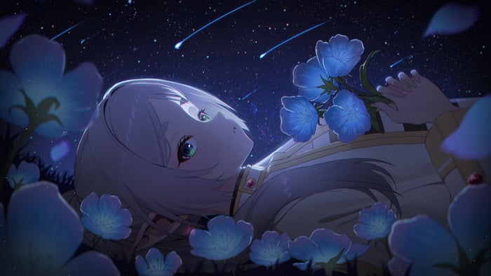 Frieren lying among blue flowers under a starry sky