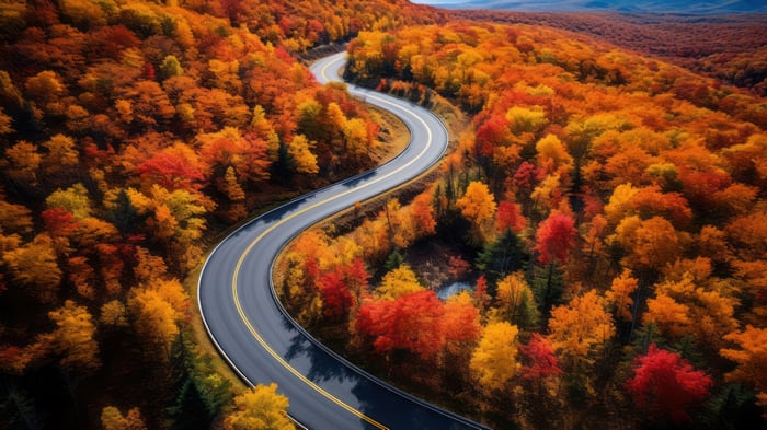 Winding Road Through Autumn Forest Scenery 4K